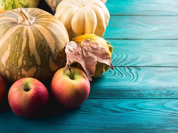 Autumn harvest concept with pumpkin apples — Stock Photo, Image