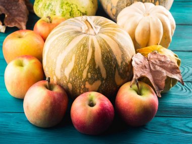 Kabak elma ile sonbahar hasat kavramı