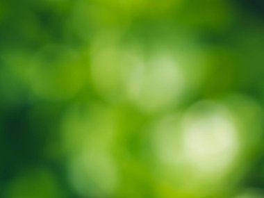 Ufuk yeşil bokeh arka plan