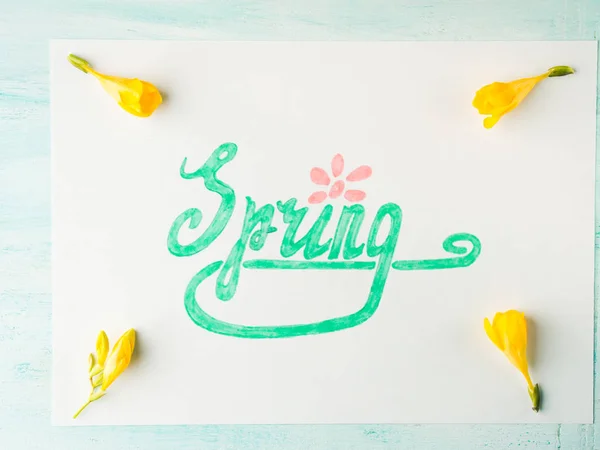 Frühling Wortbuchstabierung per Hand Schriftzug und gelbe Blumen — Stockfoto