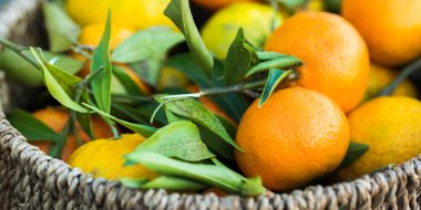 Sepet içinde İtalyan taze mandalina