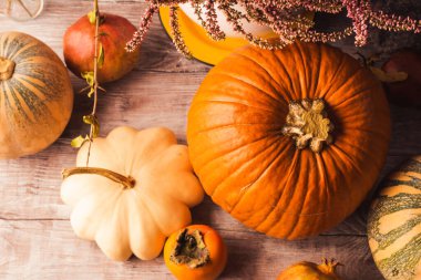 Balkabaklarıyla sonbahar kasvetli kırsal arka plan