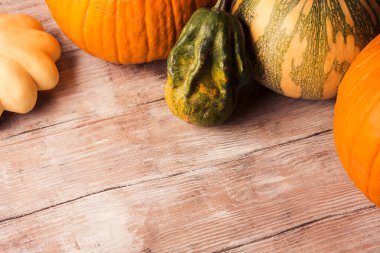 Balkabaklarıyla sonbahar kasvetli kırsal arka plan