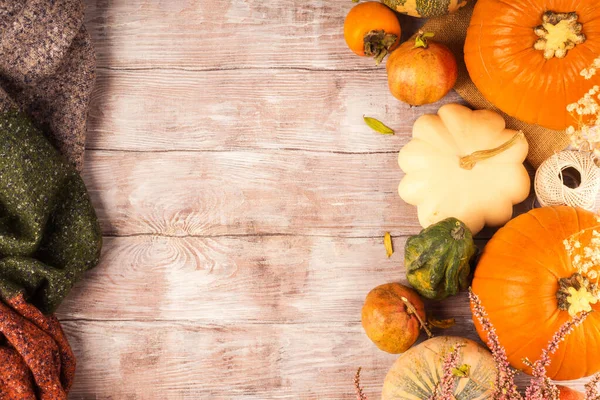 Otoño acción de gracias fondo malhumorado con calabaza — Foto de Stock