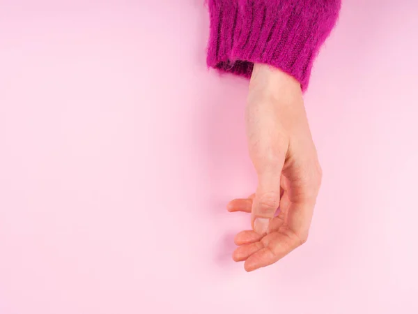 Dámská ruka v purpurovém svetru na růžové — Stock fotografie