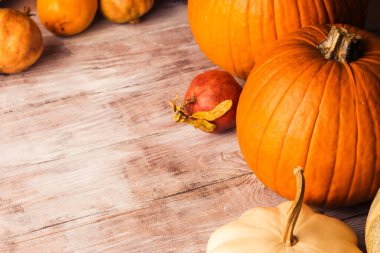 Balkabaklarıyla sonbahar kasvetli kırsal arka plan