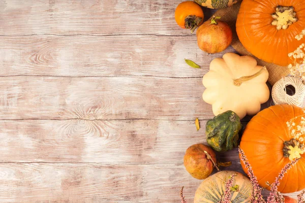 Otoño acción de gracias fondo malhumorado con calabaza — Foto de Stock