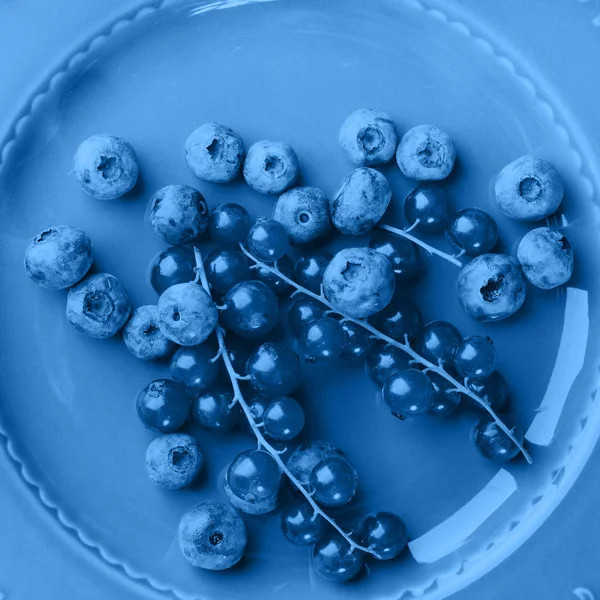 Fresh summer wild berries. Classic blue tone — Stock Photo, Image