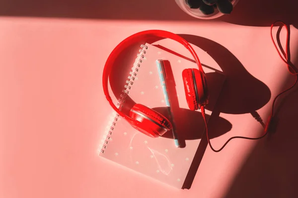 Sluchátka, notebook a sukulent na růžové — Stock fotografie