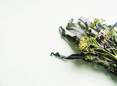 Naneli yeşil sebzeler ve otlar.