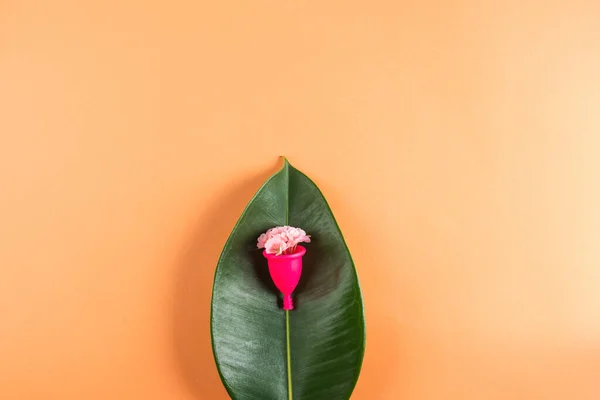 Copo menstrual rosa na folha verde com flores — Fotografia de Stock