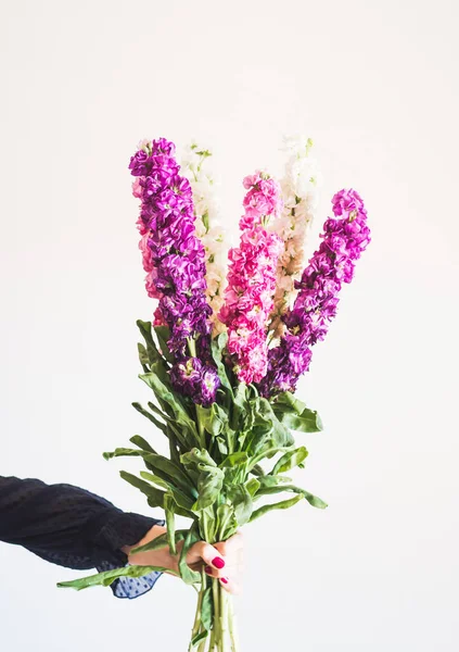 Букет з рожевих і фіолетових квітів в жіночій руці — стокове фото