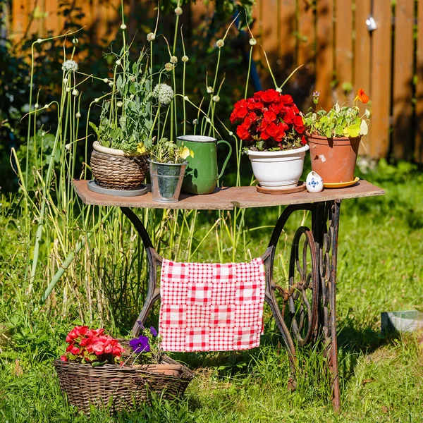정원 장식으로 오래 된 재봉틀 — 스톡 사진