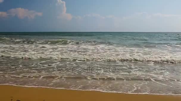 Sea waves running on the beach — Stock Video