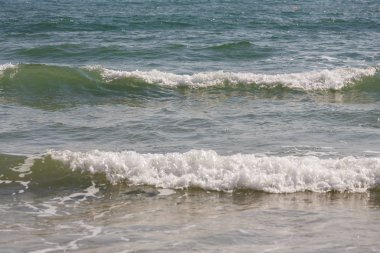 Dalga'nın kıyısında çalışan deniz