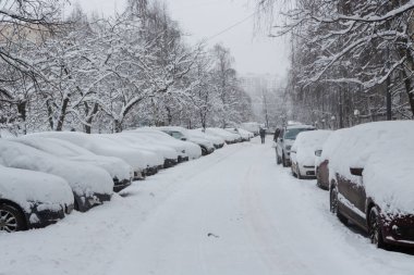 Karla kaplı park edilmiş arabalar. 