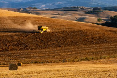 Tarlaların ve tepelerin eğrileri ve kıvrımları 