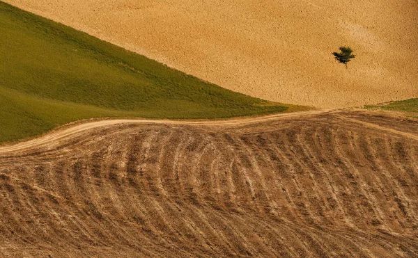 Vue aérienne des champs et collines toscanes — Photo