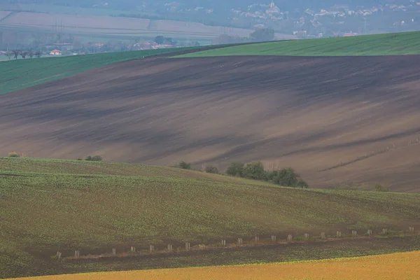 Courbes et courbes des champs sur les collines — Photo