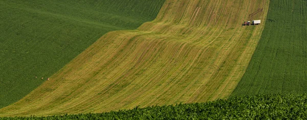 Moravyalı hills alanların