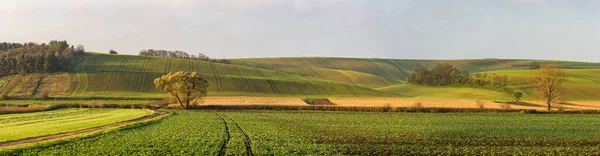 Curvas y curvas de campos sobre colinas —  Fotos de Stock