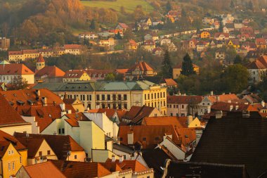 Şehir merkezindeki çatılara bakın. 