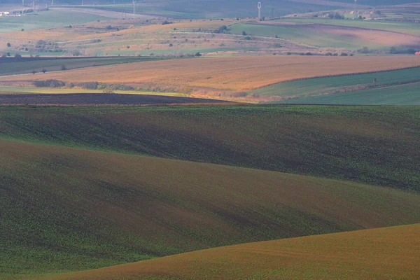 Courbes Courbes Des Champs Sur Les Collines Moravie République Tchèque — Photo