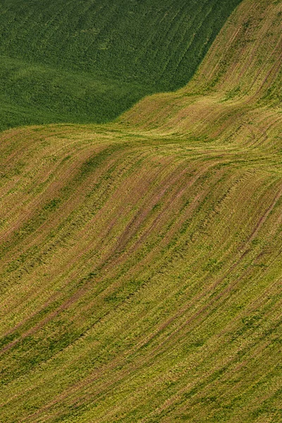 Campos Colinas Moravia Iluminados Por Sol Otoño —  Fotos de Stock