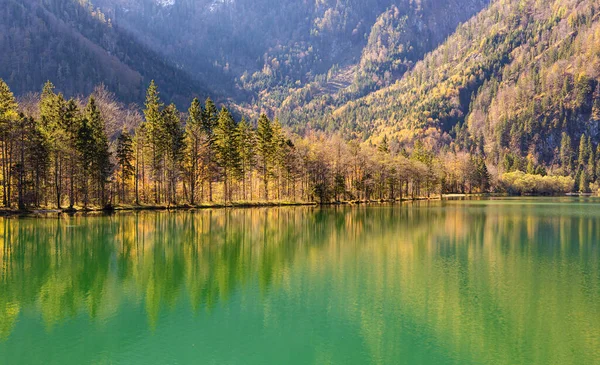 Zlatý Odraz Podzimního Dřeva Jezerních Vodách Rakouských Alp Royalty Free Stock Fotografie