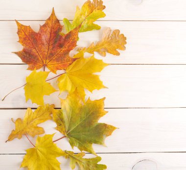 metin için boş yer ahşap zemin üzerine sonbahar yaprakları