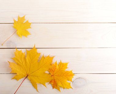 Sarı akçaağaç yaprakları ile sonbahar arka plan