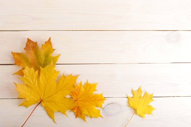 Sarı akçaağaç yaprakları ile sonbahar arka plan 