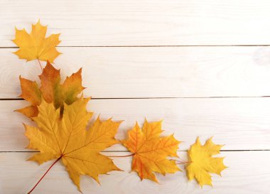 Sarı sonbahar yapraklarının arka planı