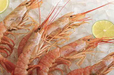 arka plan buz kireç ile haşlanmış karides