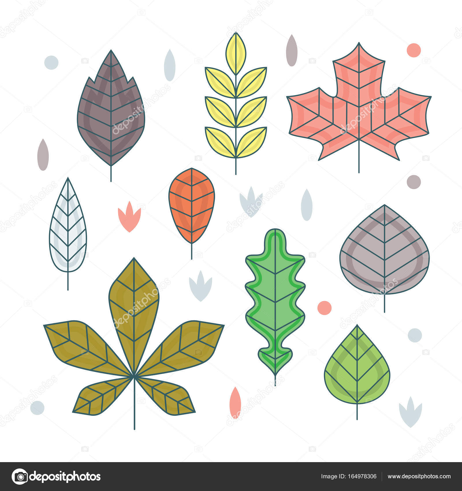 Foglie di autunno di disegno linea piatta Insieme del vettore minimalista diversamente a forma di foglie lineari Acero quercia betulla castagno