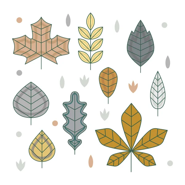 Flat line design autumn leaves. Set of minimalistic vector diffe — Stock Vector