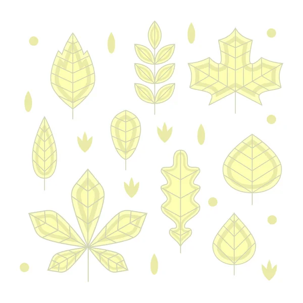 扁线设计秋天的树叶。简约矢量不同的集 — 图库矢量图片