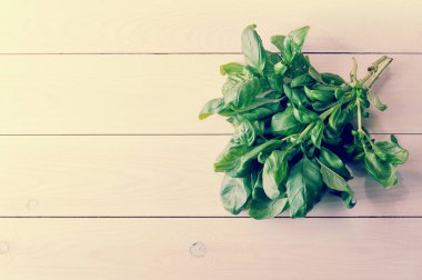 demet ıspanak üzerinde beyaz tahta adam