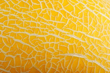 arka plan sarı olgun kavun