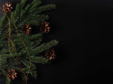 Ladin twigs ve koniler ile metin ve selamlar - üstten görünüm için siyah arka plan üzerinde Noel arka plan