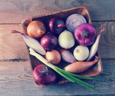 ahşap plaka farklı soğan çeşitleri 