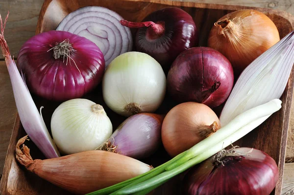 Diferentes variedades de cebolla en un plato de madera - una selección de oni —  Fotos de Stock