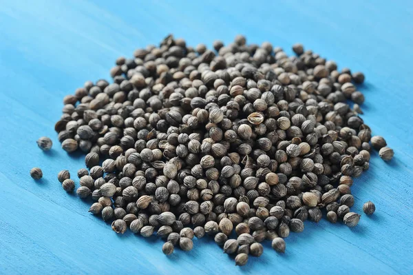 Oost-spice zaden koriander op een blauwe achtergrond — Stockfoto