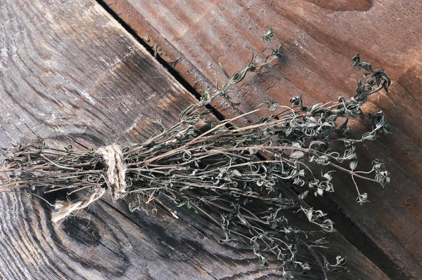 Связка сушеных трав - тимьян, завязанный веревкой — стоковое фото