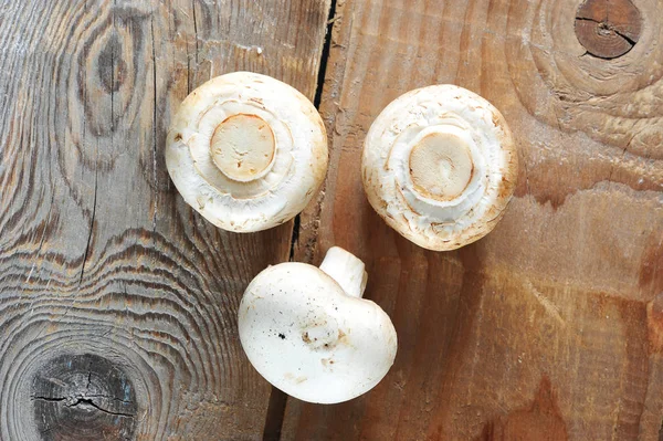 Fresh white mushrooms champignon on rustic wooden background — Stock Photo, Image