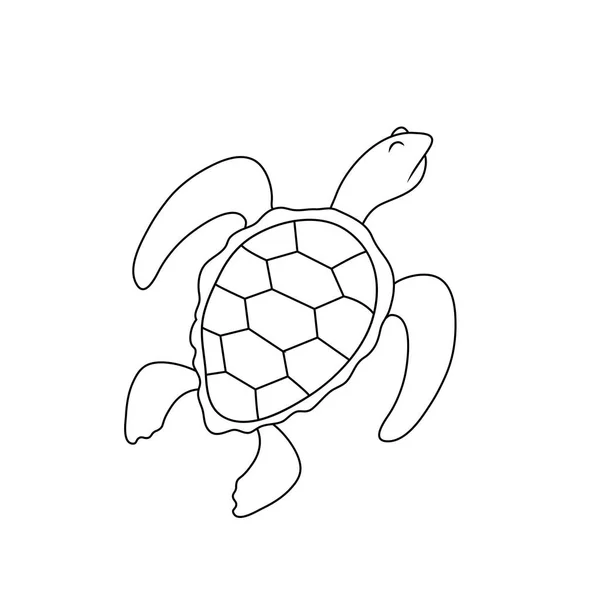 Bir kaplumbağa kibirli bir ifade ile basit çizim — Stok Vektör