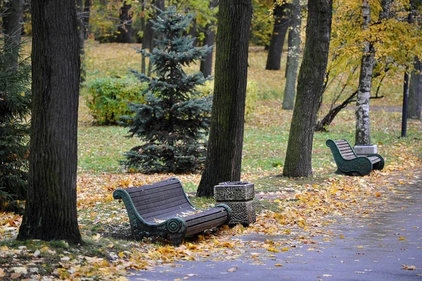 가을 공원에서 사람 이 없는 빈 의자 — 스톡 사진