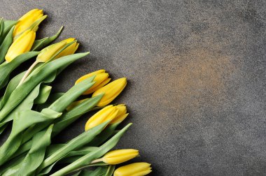 Metin için alanı olan gri arkaplan üzerindeki laleler