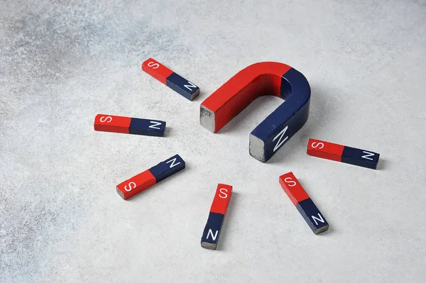 Velký Magnet Podkovy Ploché Magnety Přitahované Němu Magnety Červenými Modrými — Stock fotografie
