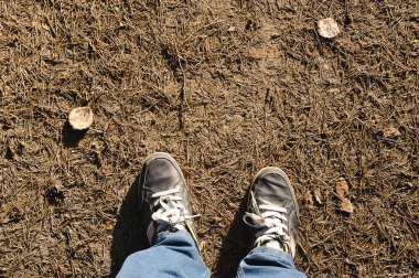 Ayaklar spor ayakkabılarda çam iğneleri manzaralı metin için yer var.